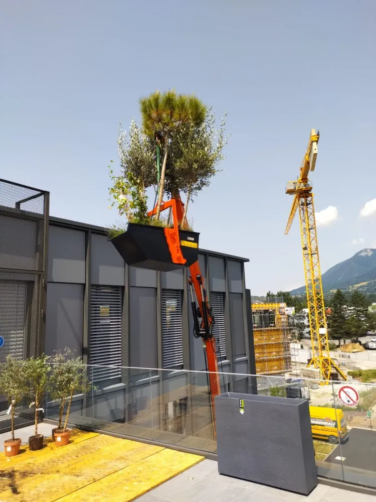 Location de mini grue araignée avec chauffeur en Haute-Savoie (7)